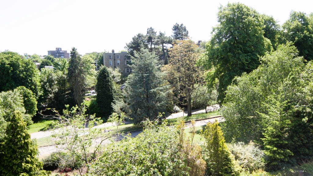 Valley Gardens