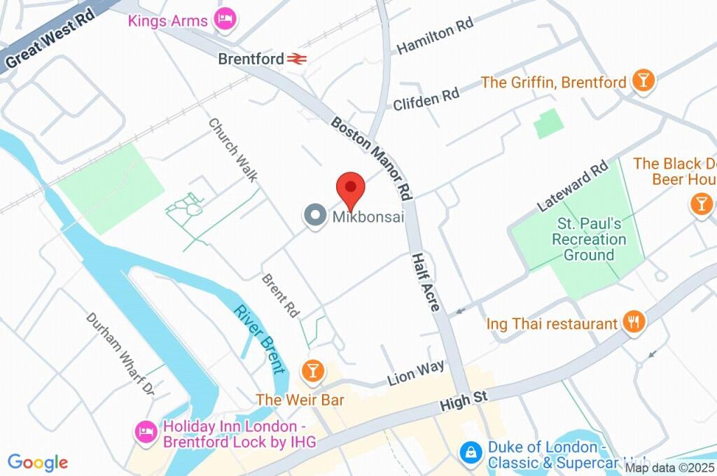 Google Maps Image