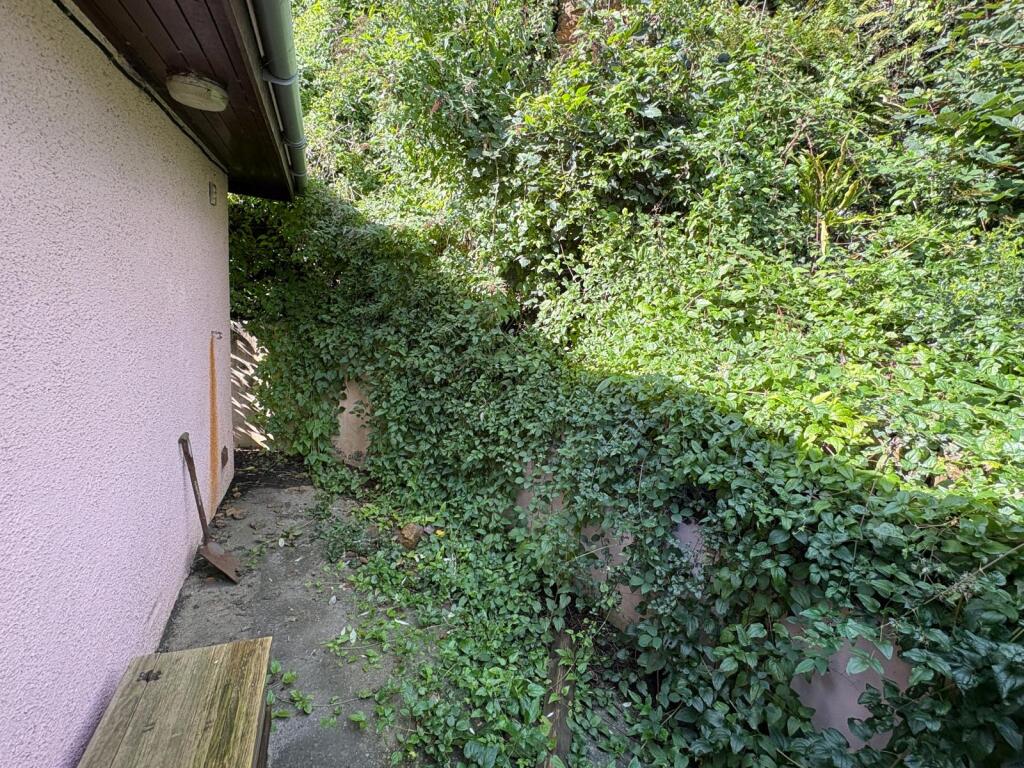 C0d929f0-084a-485b-8921-5b834a97fa64 T202509231118.jpg