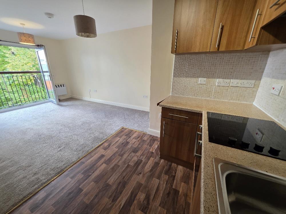 Kitchen to Living/Dining Room