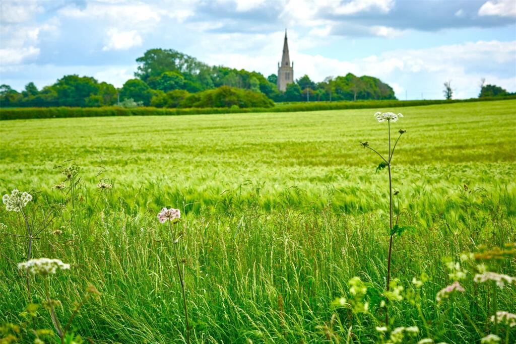 Thurleigh_Countryside