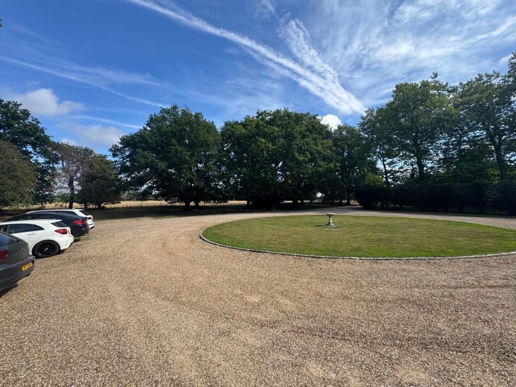 Out  Medium  T202508141727.jpg