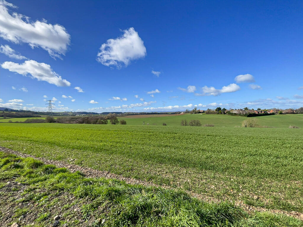 Plot 3 Green Crize - View