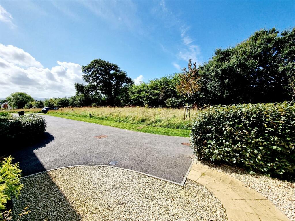 Street View.jpg