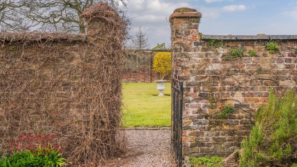 20250321-20250321-DSC07216-Edit (2).jpg