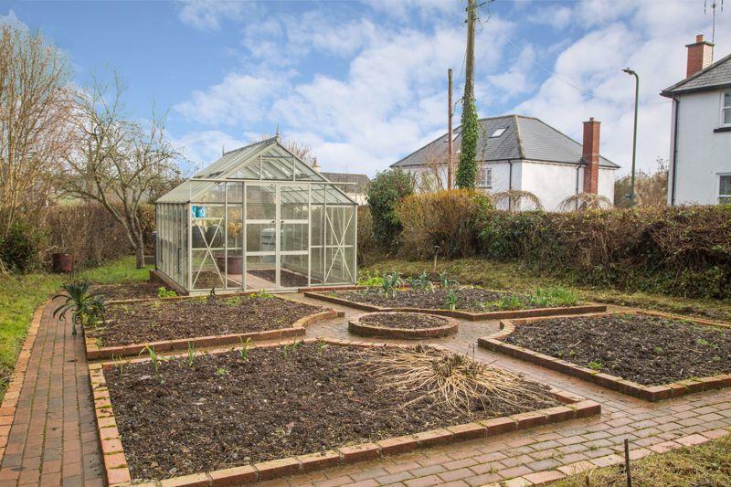 Vegetable Garden