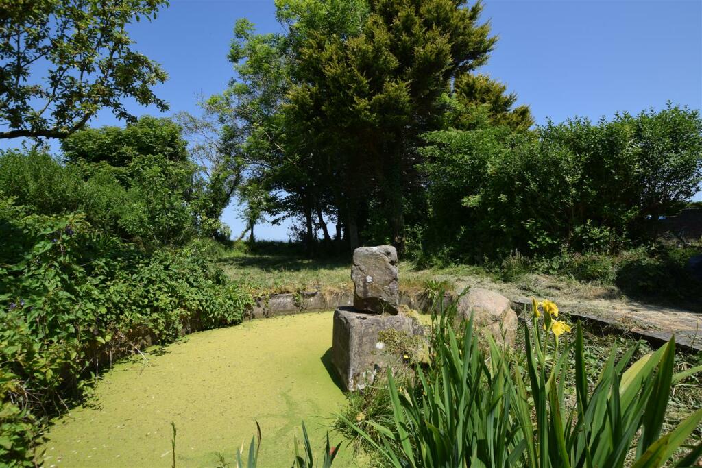 Pond Area