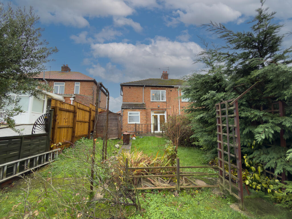 IMG 7762 T202511161807.jpg