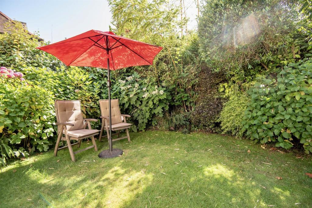 Rear Garden.jpg