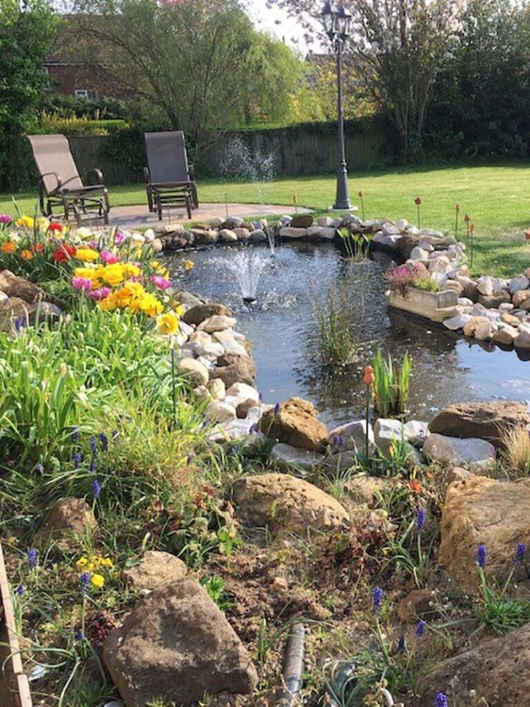 Pond