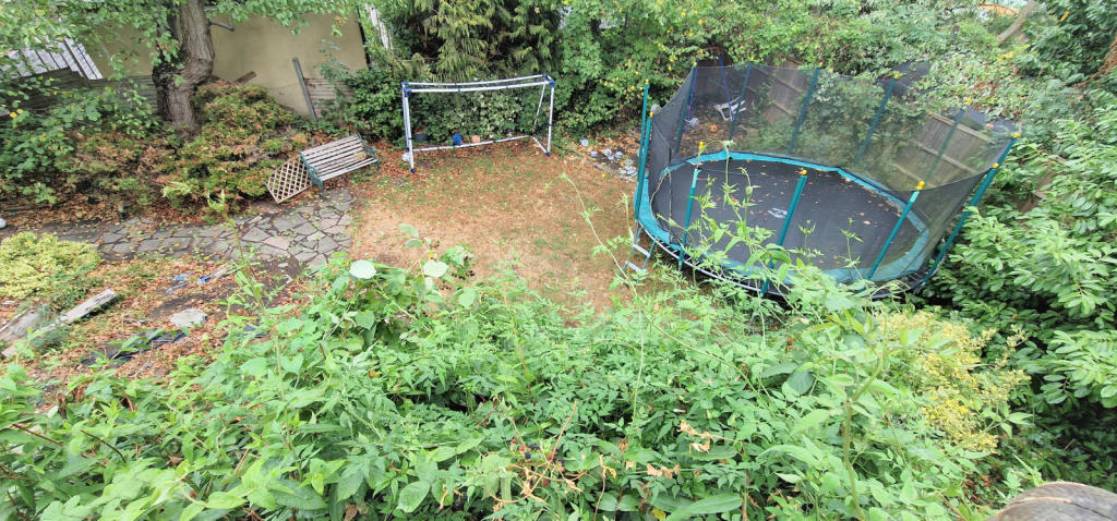 LOWER GARDEN