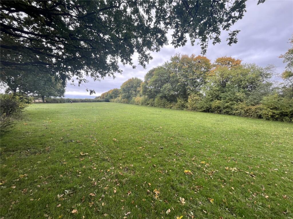 Sep Neg Paddock