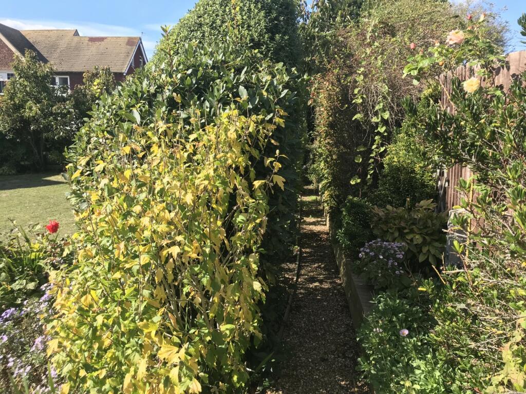 communal gardens