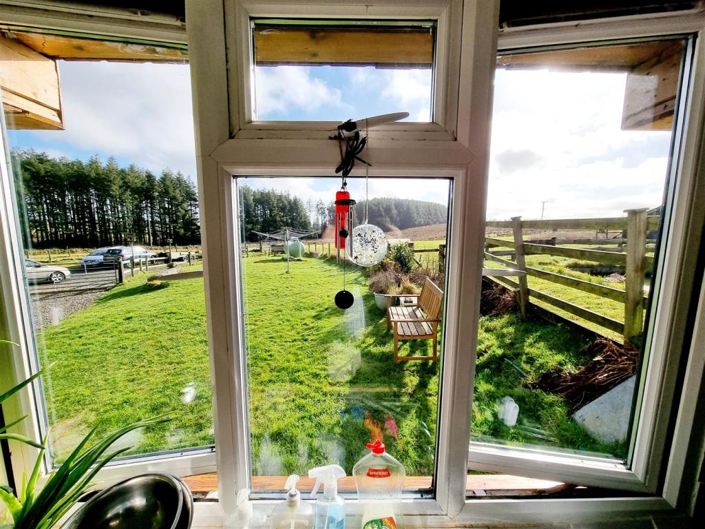Kitchen Window