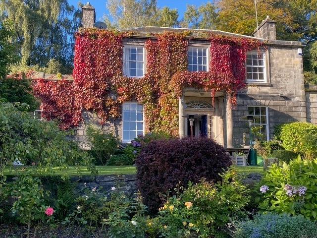 Autumn Bloom.jpg
