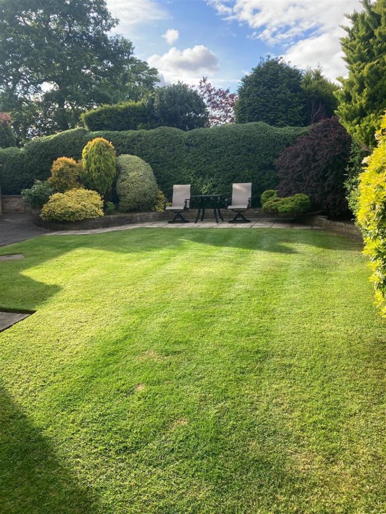 garden pic 2 new from vendor.jpg