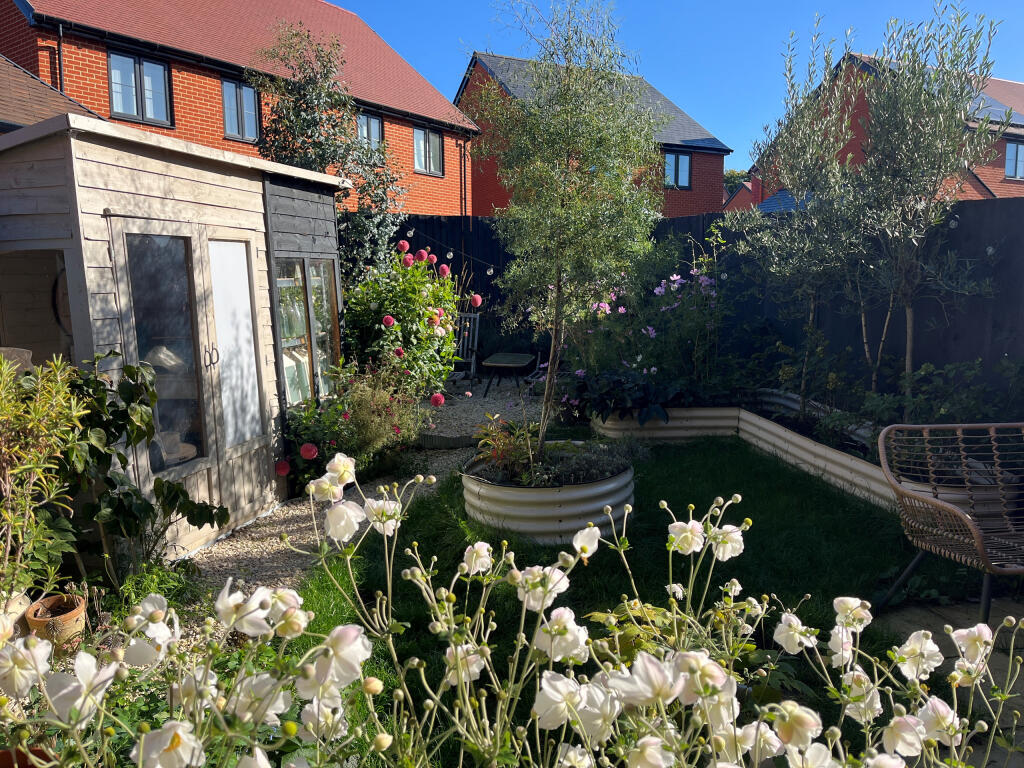 Back garden