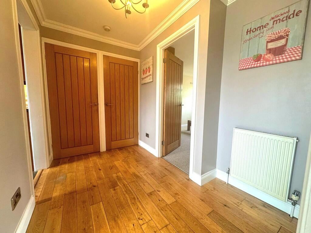 WhatsApp Image 20...