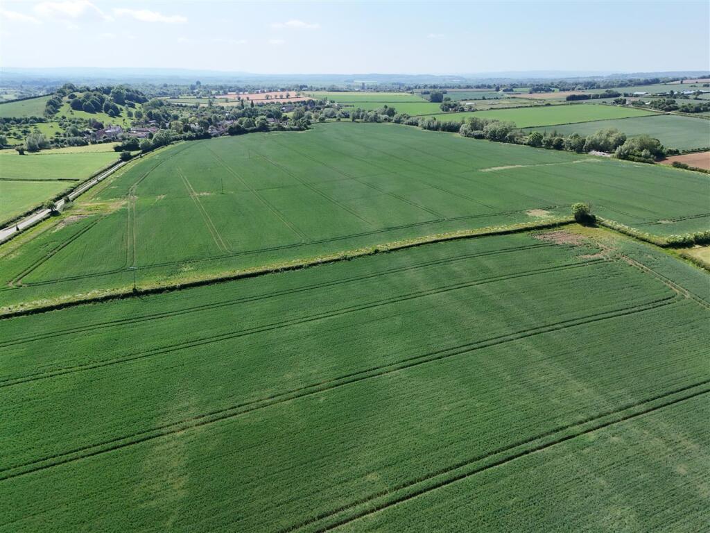 Lot 1 (235)