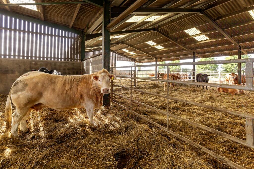 032 - Chapel Farm.jpg