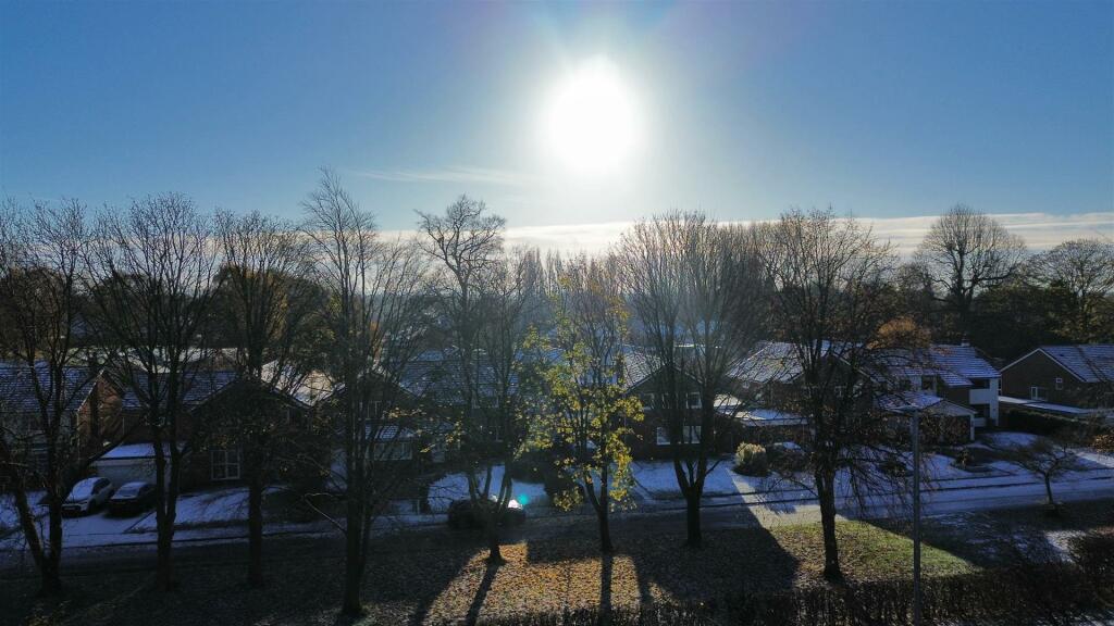 dji_fly_20241121_100052_118_1732183294494_photo_op