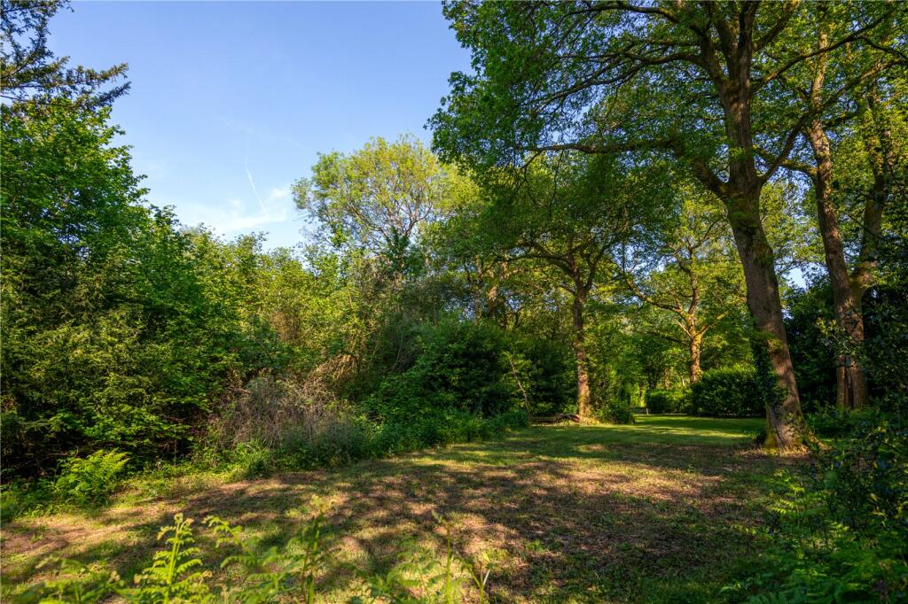 Woodland