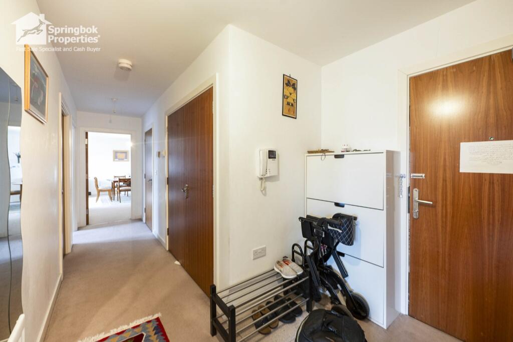 IMAGE 11