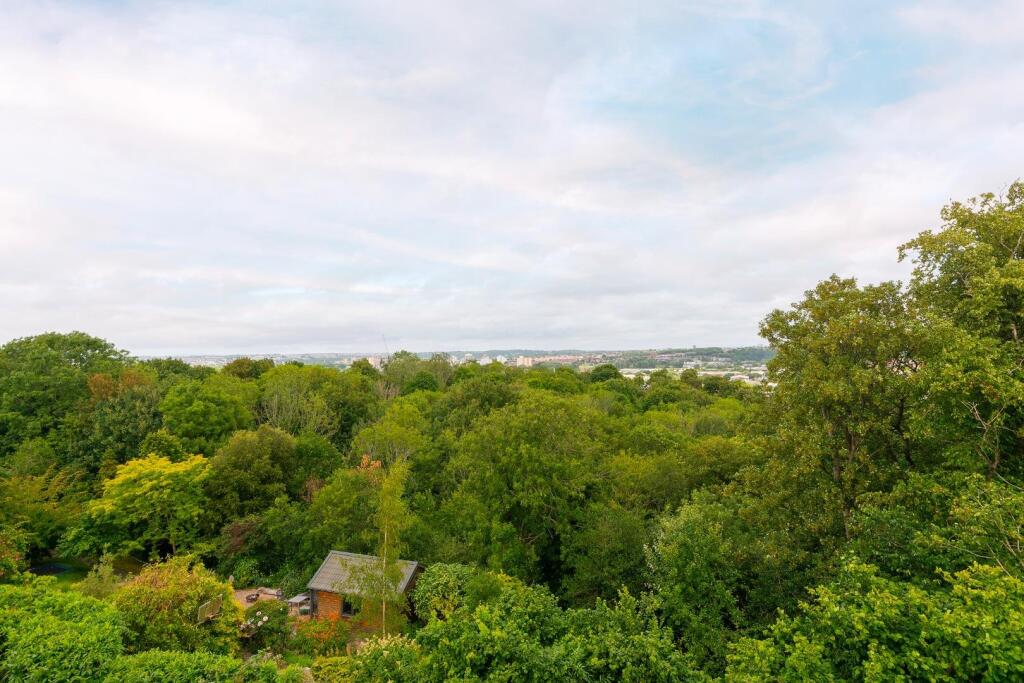 1S5R1KE - The View B.jpg