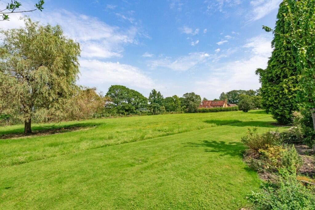 Communal meadow