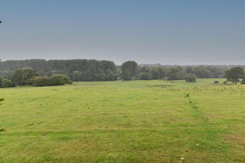 DSC_3100.jpg