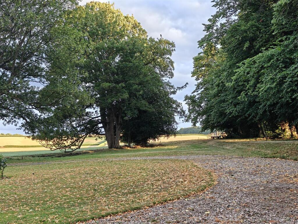 Summer View over South Garden Area