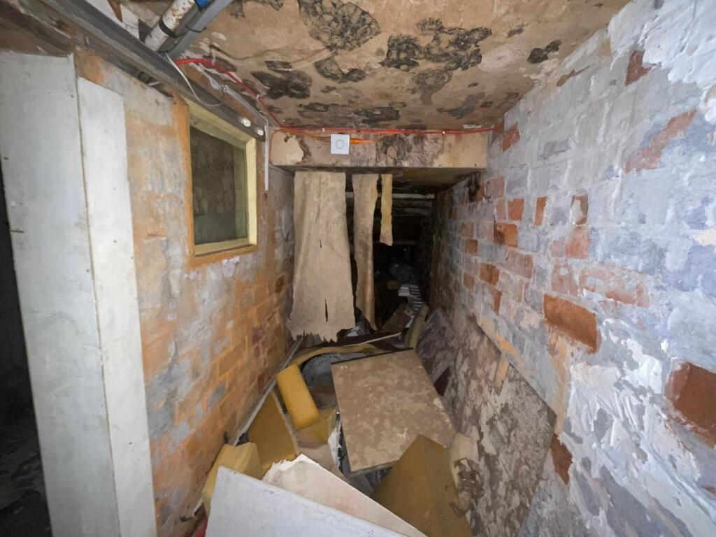 282f476a-f7ee-4597-8927-4cac69a3c9c9 T202505301347.jpg