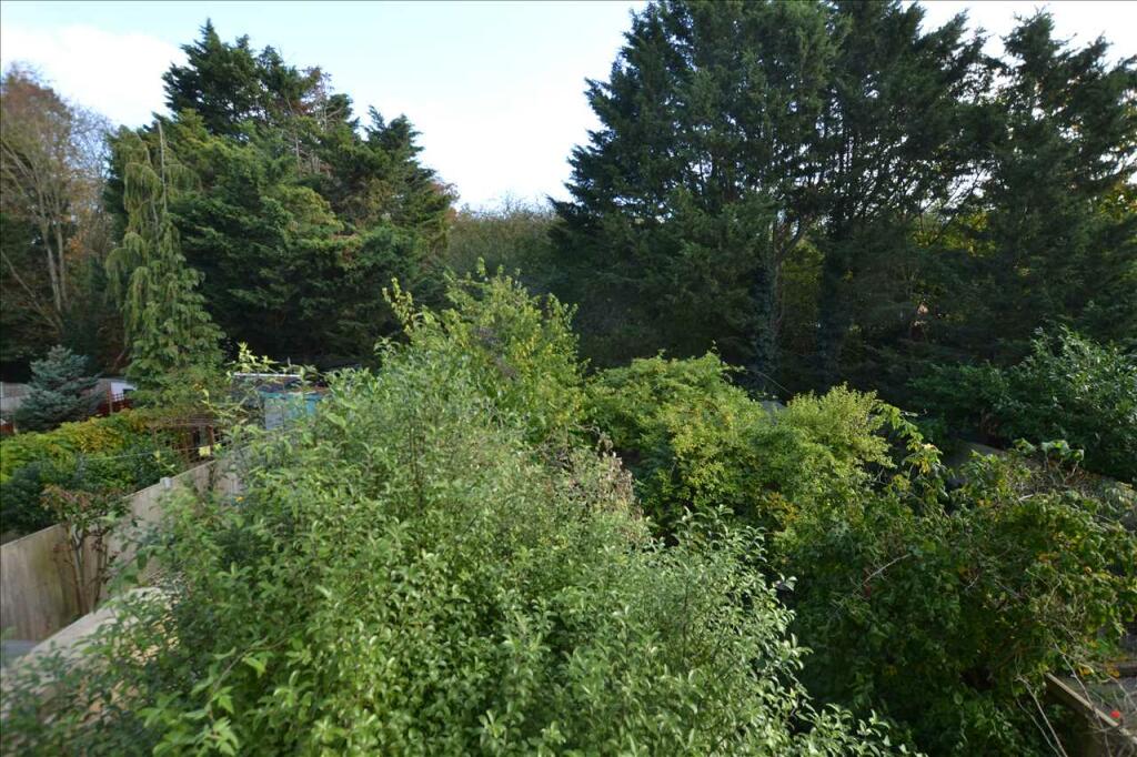 TREETOPS TO REAR