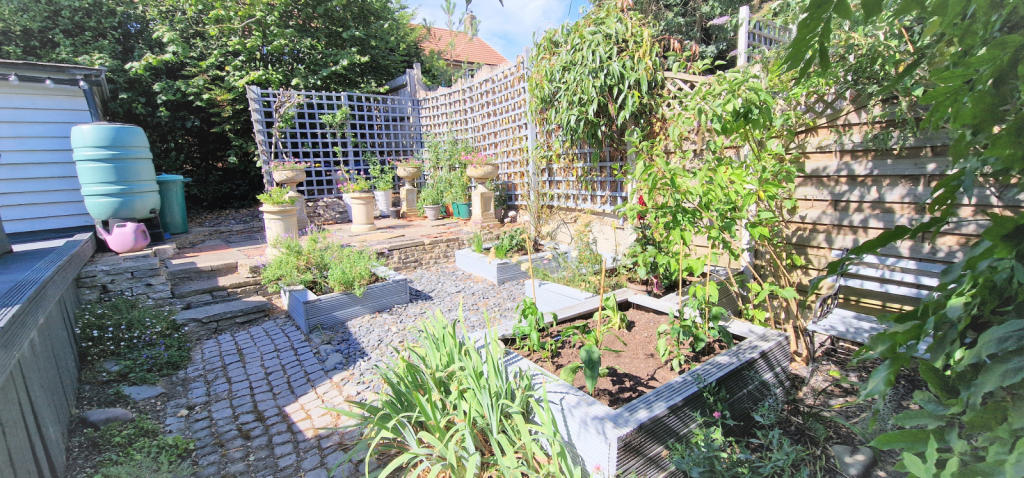 VEGETABLE PATCH