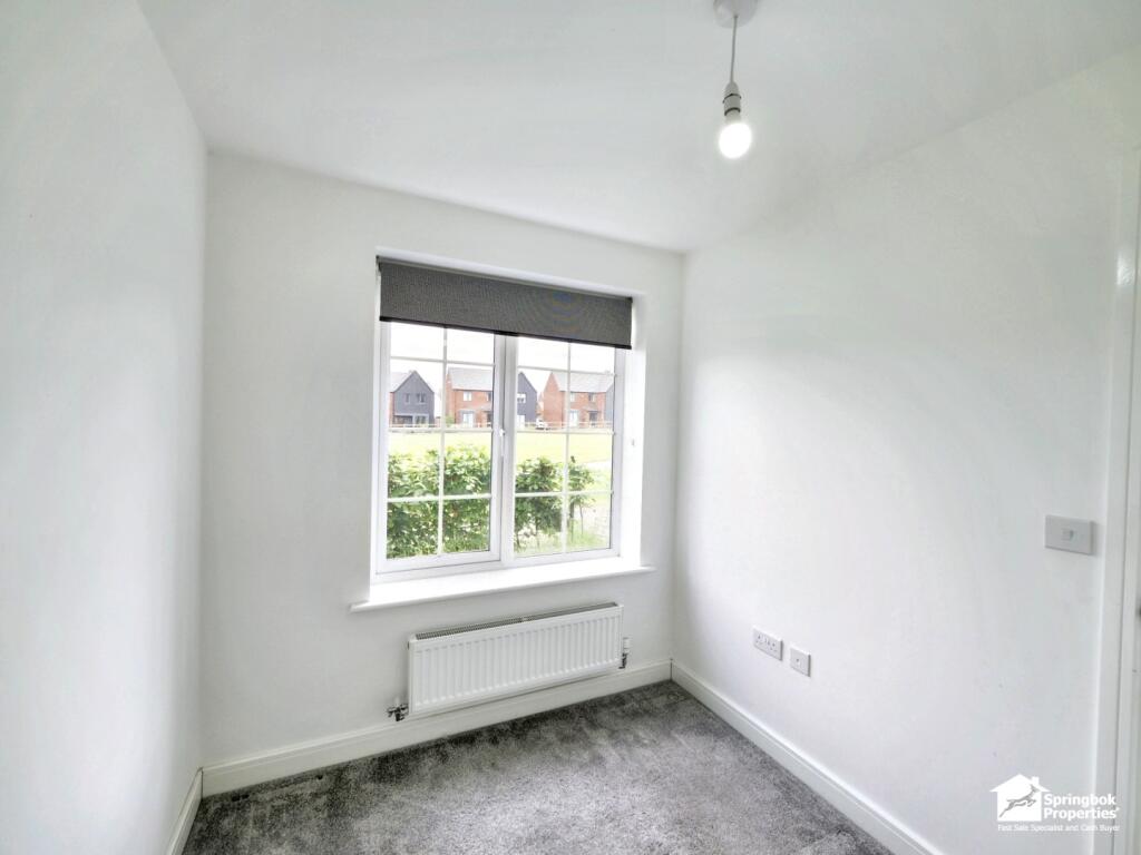 IMAGE 7