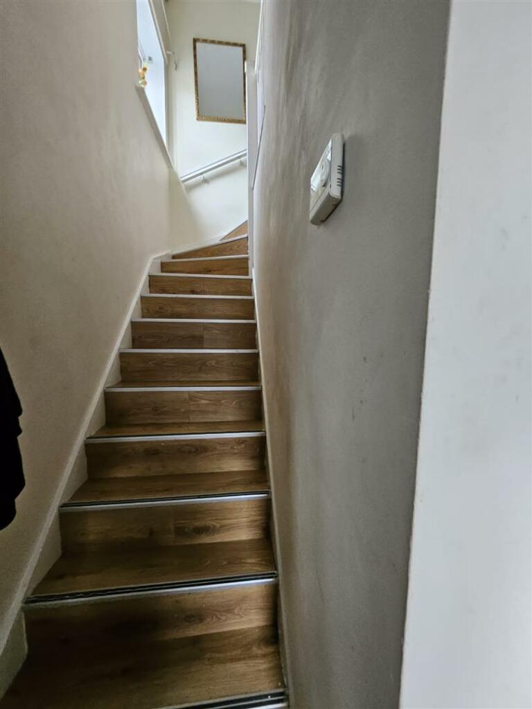 PHOTO-2023-10-05-12-41-27 2.jpg