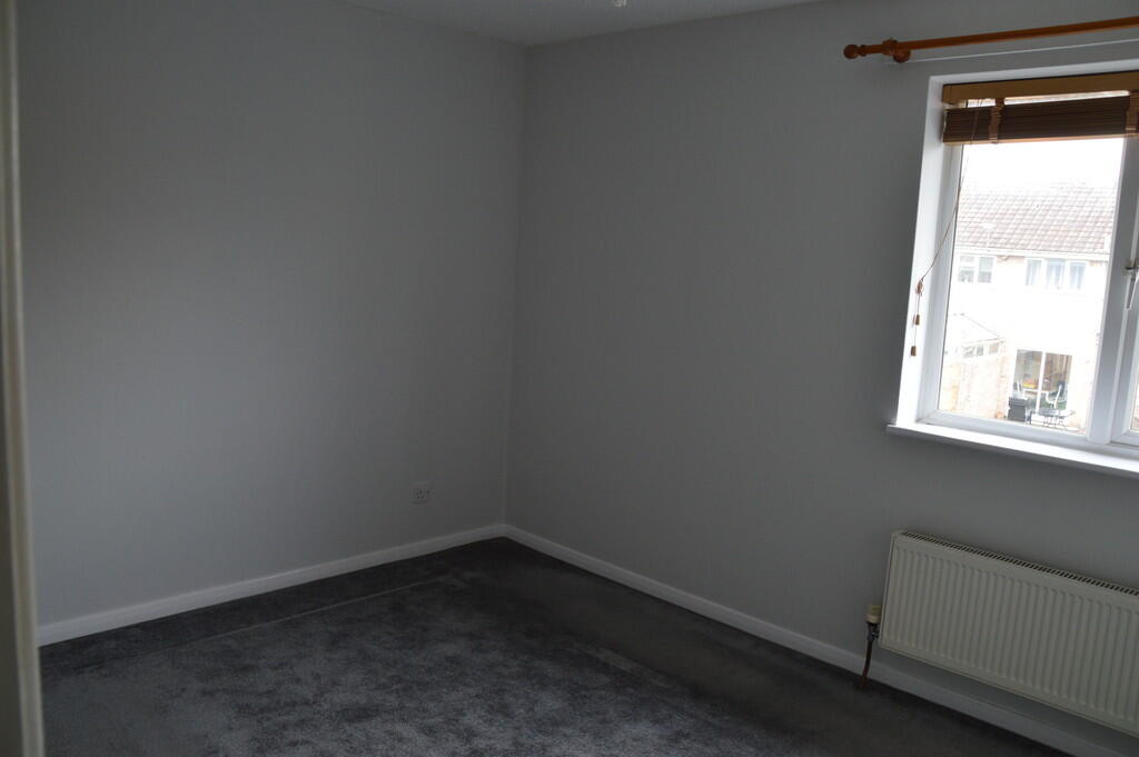 DSC_0009 - Copy (...