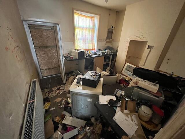 Kitch T202505201415.jpg