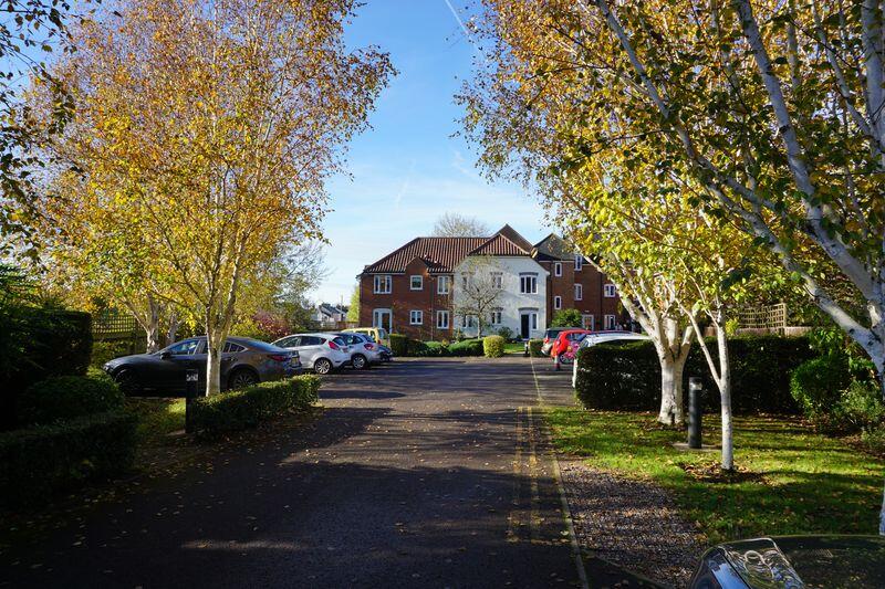Photo 14