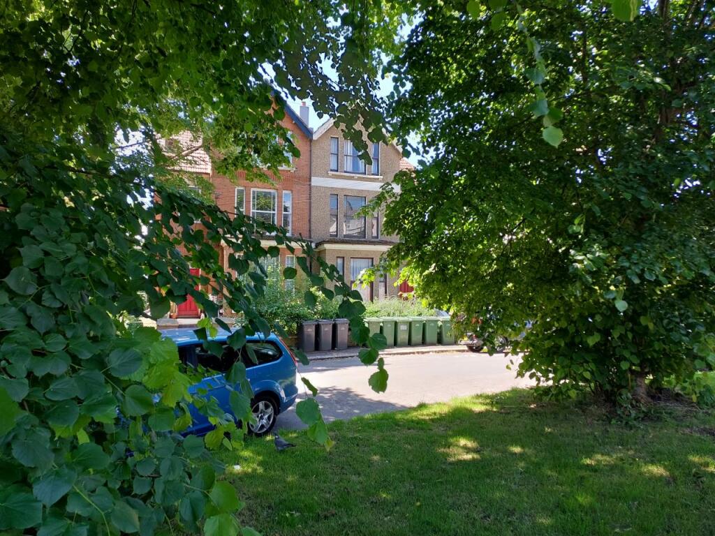 View from bushes