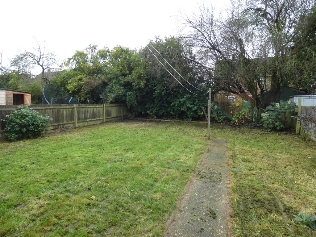 Pic 9 Garden.JPG