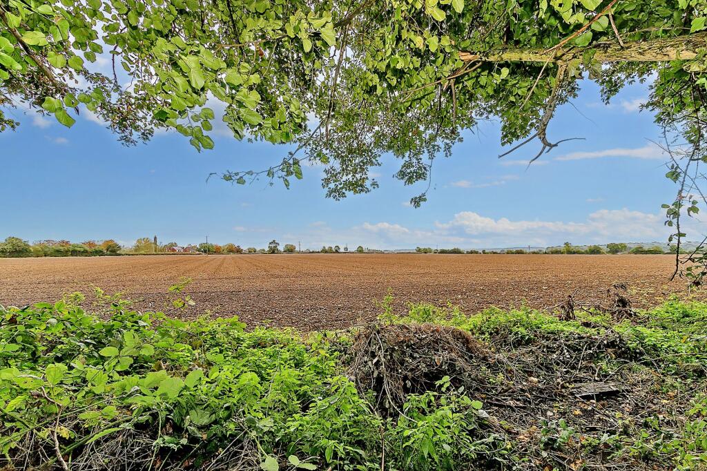 Fields
