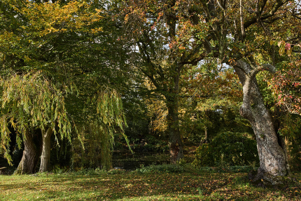 239826 - DGLA1173.jpg