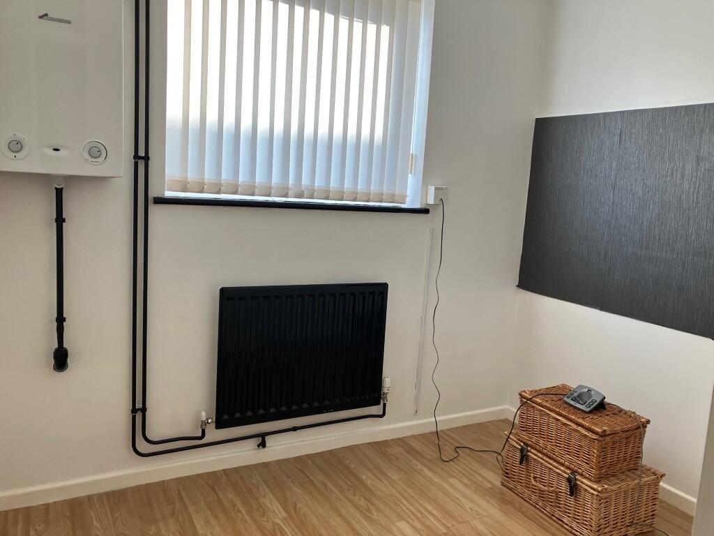 K  Medium  T202502201122.jpg