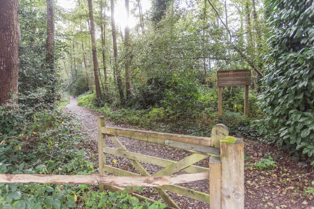 Path to park