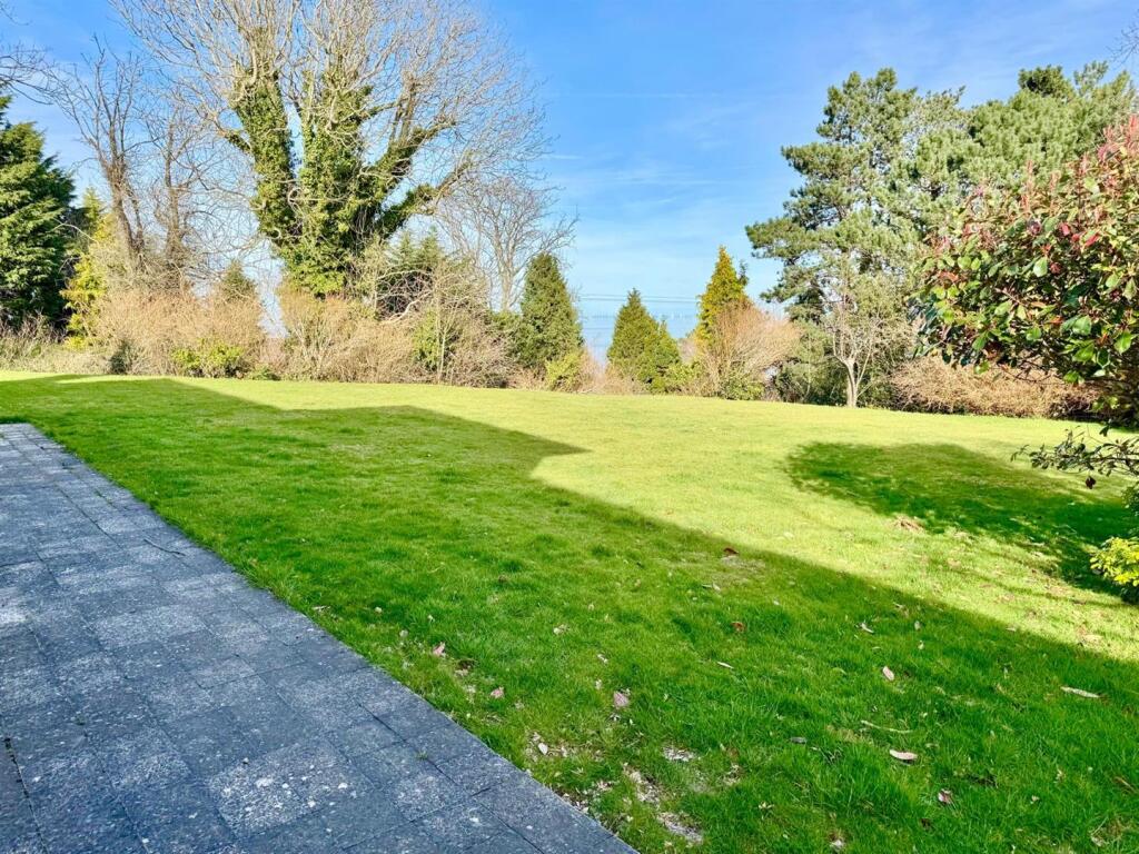 PHOTO-2025-03-02-18-34-59 (1).jpg