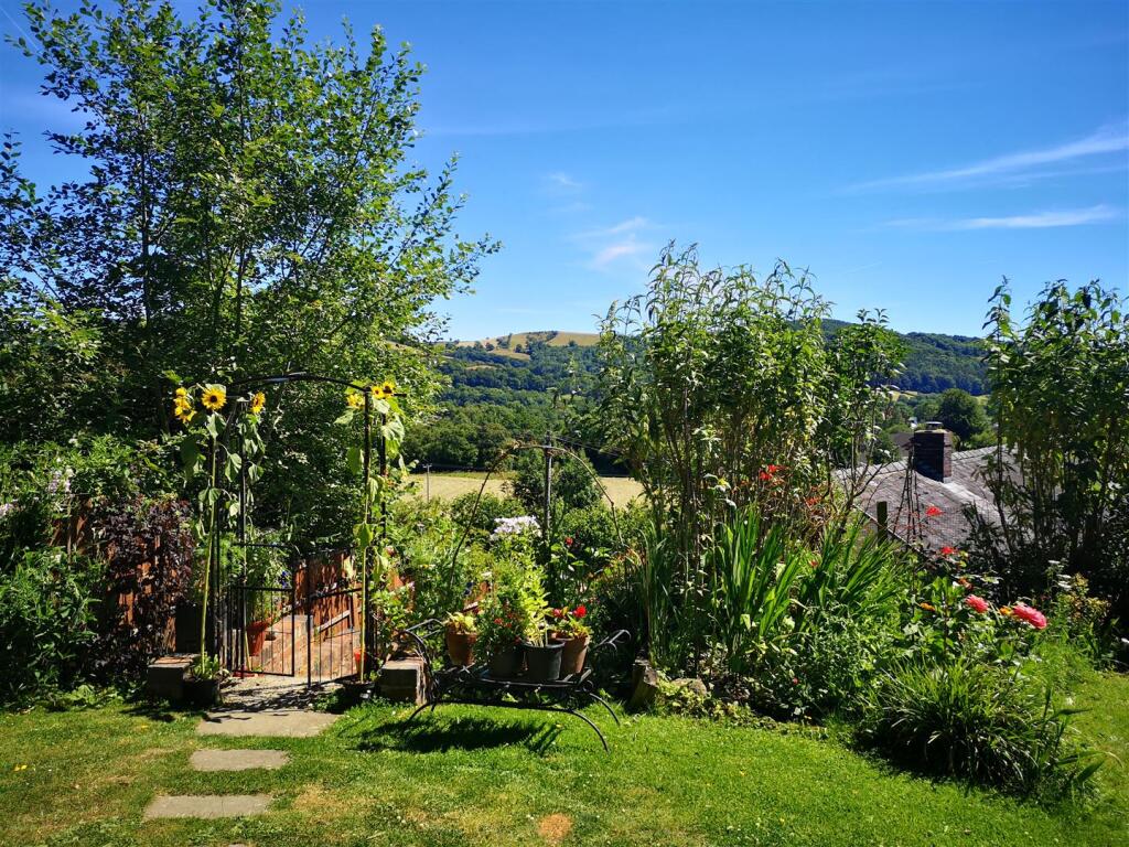 Garden 3.jpg