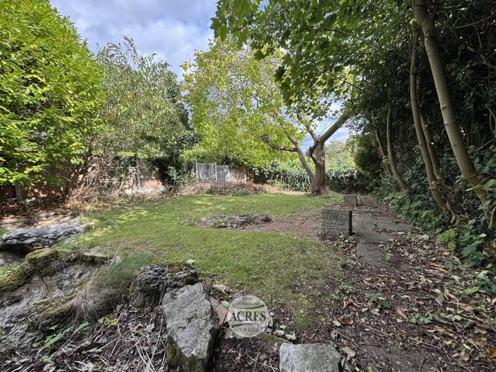 IMG_3590 (Large).jpg