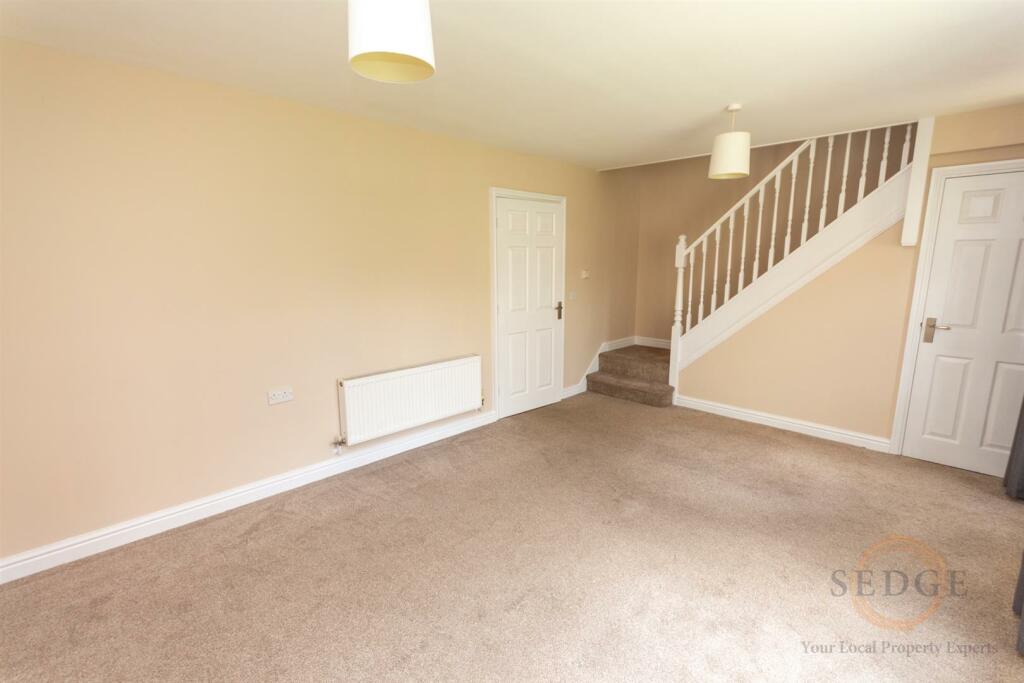 1 swan close-06.jpg