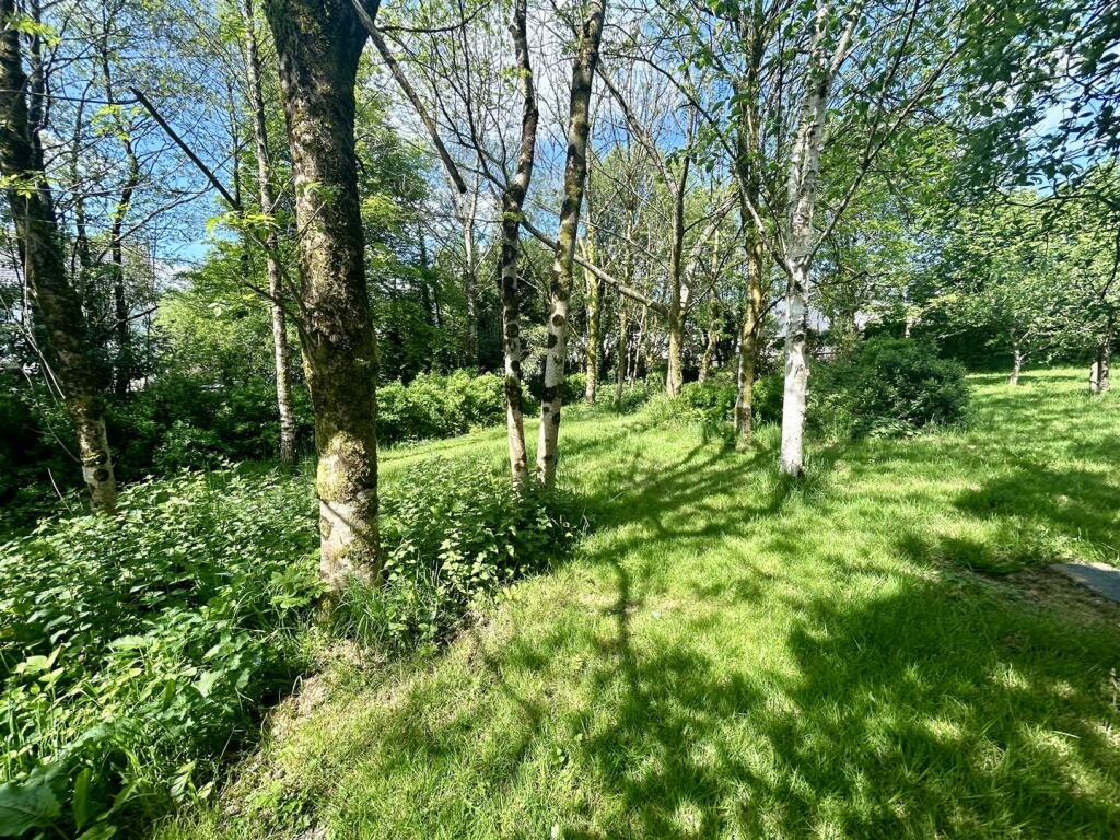 tempImageW0KkSM.jpg